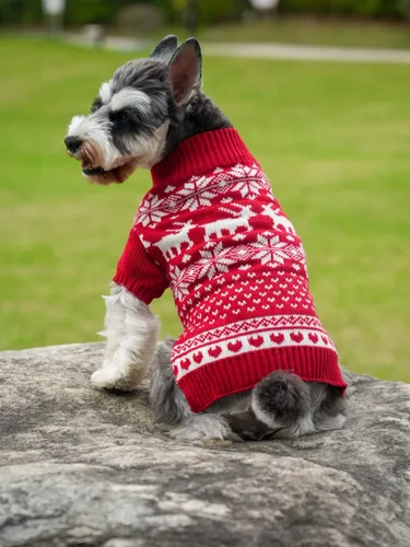 Vista 8 de Suéter para perros y gatos con motivos festivos, color rojo clásico, XS, Rojo
