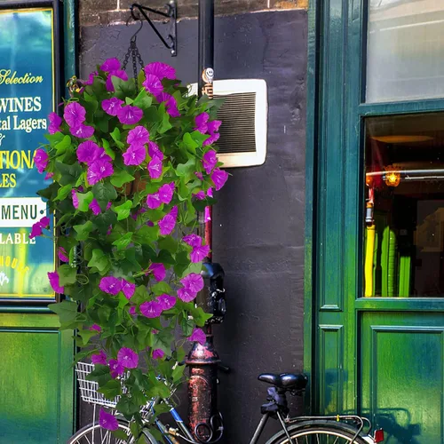 Vista 4 de Cesta de flores artificiales colgantes para decoración de primavera al aire Morado