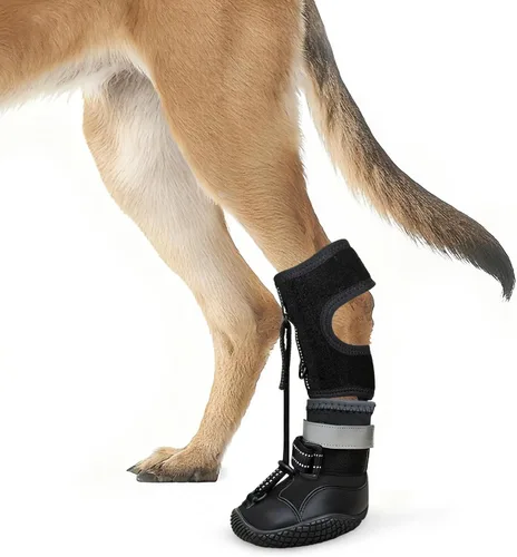Vista 7 de Idepet - Correa de pie para perro (sin soporte para botas de nudillo), soporte para patas de botas de perro para soporte de piernas, zapatos