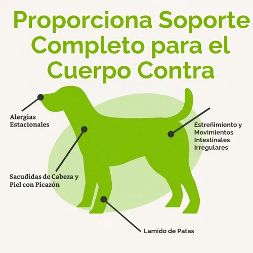 Vista 5 de Dr. Joseph's VetPro Complete Advanced Pre y probióticos en polvo para perros, decoración de comida, 90 cucharadas, apoya la salud intestinal