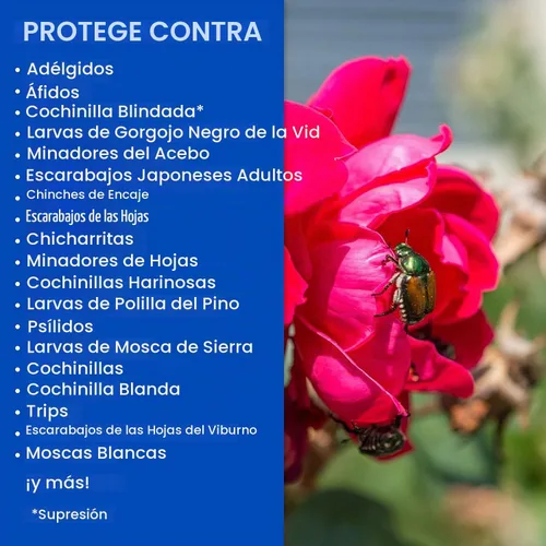 Vista 4 de BioAdvanced 2 en 1 Systemic Rose and Flower Care II, gránulos, 5 libras con insecticida BioAdvanced Rose and Flower, listo para usar, 24 onzas