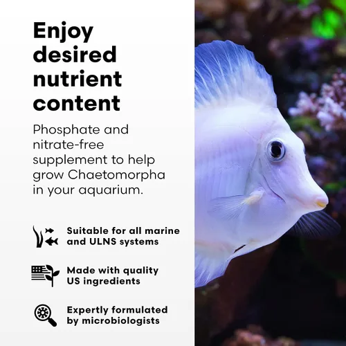 Vista 3 de Brightwell Aquatics Fertilizante líquido Chaeto Gro para Chaetomorpha, 2L