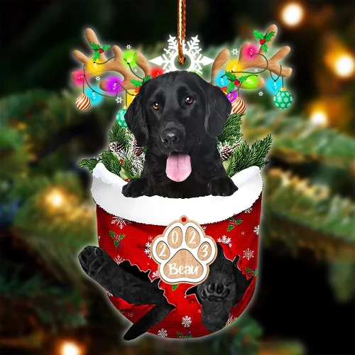 Vista 58 de NAZENTI Adorno Navideño de Bolsillo Personalizado de Affenpinscher en la Nieve, Adorno de Forma Acrílica de Perro, Adorno de Navidad 2023, Adorno