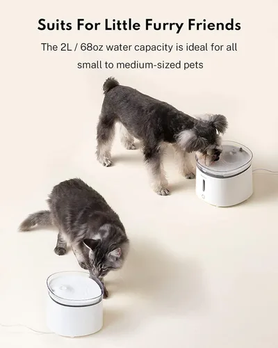 Vista 8 de HomeRunPet Fuente de agua silenciosa para gatos, 68 oz/2 L, bomba inalámbrica para fuente para mascotas, dispensador de agua para perros, modo