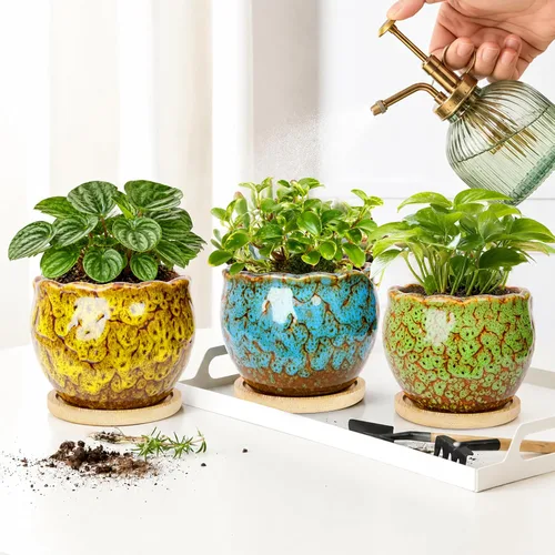 Vista 6 de ARTKETTY Macetas para suculentas, paquete de 4 macetas pequeñas con bandeja 4'' Colorful 2