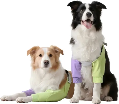 Vista 9 de Almohadilla protectora de codo para perro, soporte frontal ajustable, soporte frontal para callos, rodilla, mangas para mascotas para heridas, codo