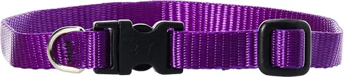 Vista 6 de LupinePet Basics - Collar ajustable rojo de 1/2 pulgadas, 10-16 pulgadas, para perros pequeños