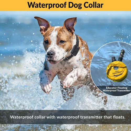 Vista 5 de Collar de entrenamiento para perro de Educator E-Collar , Amarillo 1/2 milla impermeable, 100 niveles de estimulación + vibración + luz + sonido