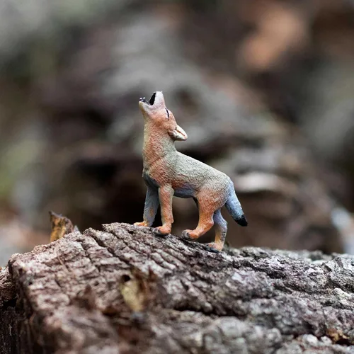 Vista 2 de Safari Ltd. Coyote - Figura de modelo realista de 2.5 pulgadas, juguete educativo para niños, niñas y niños a partir de 1 año