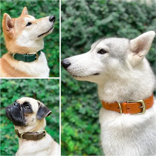 Vista 3 de Tuff Pupper Collar para Perro Clásico Resistente 10 Veces Más Fuerte que el Cuero Collar para Perro 100% Impermeable y Libre de Olores