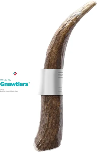 Vista 12 de Gnawtlers - Cornamenta de alce de primera calidad para perros, cuernos desprendidos naturalmente, para masticar, especialmente seleccionada