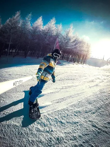 Vista 5 de #270Pro Mochila Palo selfie invisible ultra largo de 8.8 pies, 99% fibra de carbono, ligero y portátil, funciona con GoPro, Insta360, DJI
