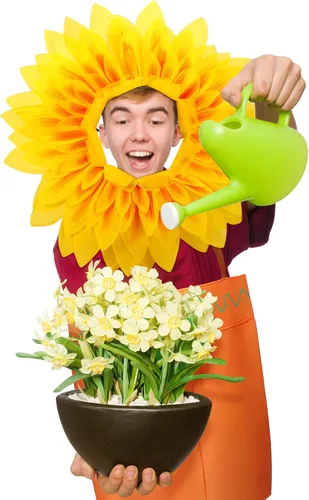 Vista 4 de Hicarer Juego de 2 piezas de disfraz de flores en maceta para adultos, incluye maceta, disfraz de maceta, disfraz de girasol, sombrero de girasol