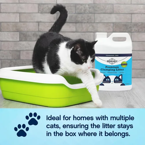 Vista 4 de Arena para gatos aglutinante prémium sin fragancia, 20 libras, tecnología avanzada de control de olores, sin polvo, bajo seguimiento, aglomeración