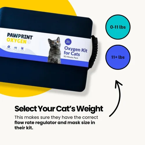 Vista 5 de Kit de oxígeno de rescate para gatos, suministro de oxígeno portátil para mascotas para transporte y rescate - oxígeno, máscara, regulador, tubo
