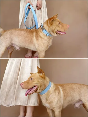 Vista 5 de Collares de perro personalizados con identificador de nombre grabado personalizado para mascotas para razas pequeñas medianas grandes (XS, azul)