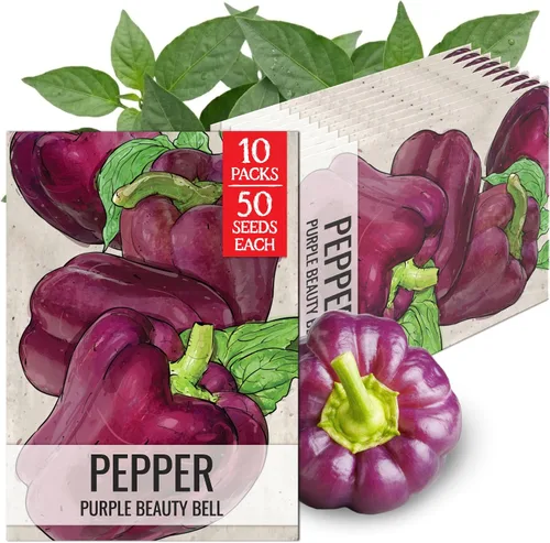 Vista 84 de Seed Needs - Semillas de pimiento arcoíris para plantar verduras, 1 paquete