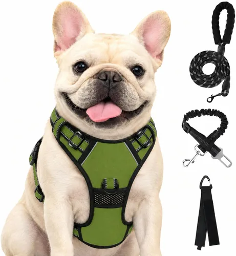 Vista 56 de FURRYFECTION - Arnés para perro a cuadros con correa y cinturón de Rosa
