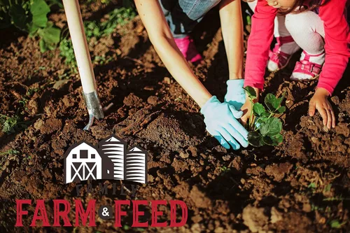 Vista 4 de Fertilizante de harina de alfalfa de jardín natural Mezcla granular 2 libras..