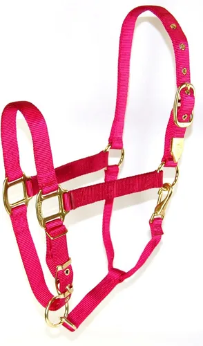 Vista 22 de Hamilton, Halter de 1 pulgada con barbilla ajustable, azul baya, 800-1100 libras