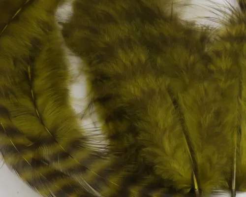 Vista 9 de Hareline Dubbin Grizzly Soft Hackle