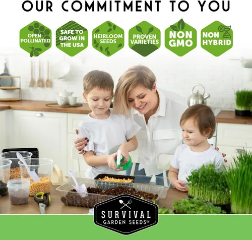 Vista 8 de Semillas de microgreens de girasol para brotar – Planta y cultiva brotes de nuez y crujientes llenos de proteínas y vitaminas – Heirloom de rápido
