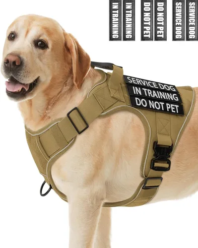 Vista 15 de Chaleco de perro de servicio para perros medianos, arnés de perro de servicio en entrenamiento con parches, chaleco ajustable para perros
