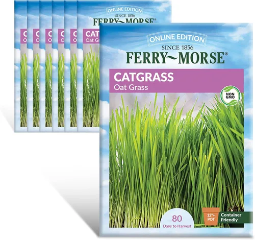 Vista 18 de Ferry-Morse Edición Online Bean Blue Lake Bush 274 Semillas Orgánicas Multipack – Paquete de 8