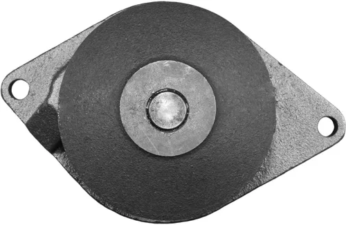 Vista 2 de ACDelco Bomba de agua del motor Gold 252-920 (88875331)