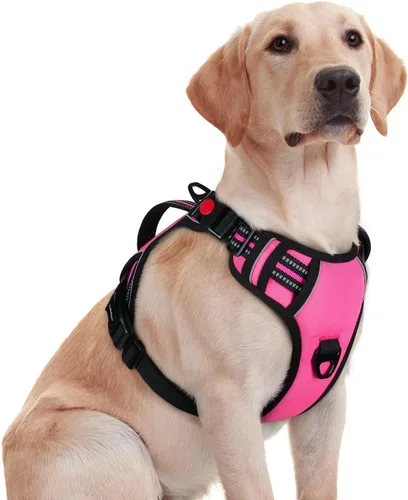 Vista 29 de rabbitgoo Arnés para perro de tamaño pequeño, arnés para mascotas sin tirones con mango acolchado suave, chaleco reflectante ajustable con 3