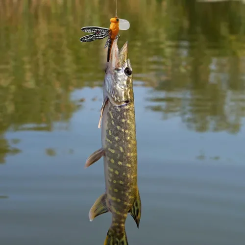 Vista 7 de Señuelos de pesca Topwater Señuelos simulación conjunto con ganchos para herramientas de pesca al aire libre