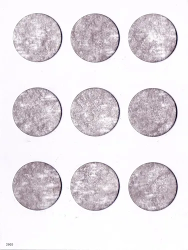 Vista 2 de Carpeta Harris Blank para dólares de plata 2665