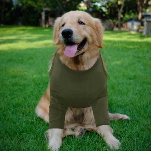 Vista 5 de Nanaki Trajes de recuperación para cirugía de perro para patas delanteras, manga para pierna de perro para dejar de lamer, pantalones anti-lamida