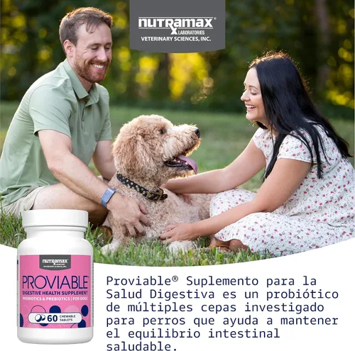 Vista 3 de Nutramax Probióticos Proviable para perros, Suplemento diario de salud digestiva con múltiples cepas de bacterias, probióticos para perros más