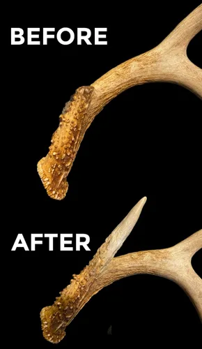 Vista 4 de Masilla epoxi multiusos de 3 libras (juego de 2 pintas) para taxidermia, reparación del hogar, artes y manualidades, restauración y reparación