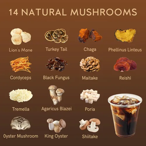 Vista 3 de Café instantáneo sin cafeína con hongos, suplemento de 14 hongos, 80 porciones grandes Mane de León, Reishi, Chaga, Cordyceps, Shiitake Energía