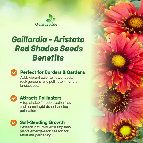 Vista 3 de Outsidepride Gaillardia Aristata Arizona - Semillas de flores rojas para plantar, 50 semillas de flores silvestres perennes, tolerantes a la sequía