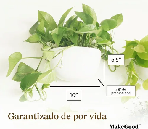 Vista 4 de Make Good Virgo - Macetas de pared (anchas, juego de 6), fáciles de regar e instalar, ligeras, diseña tu propio jardín vertical, plástico de melamina