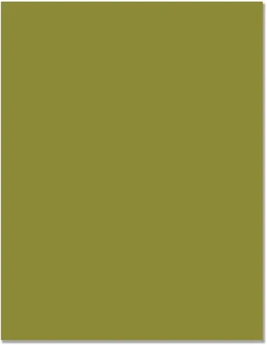 Vista 15 de Hero Arts Papel PS318, Hero Hues Premium Cardstock Amatista
