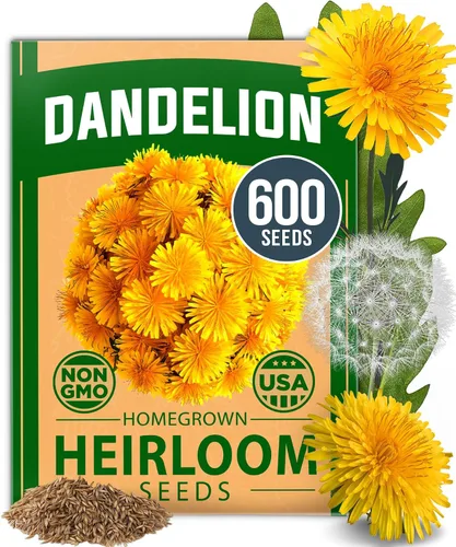 Vista 68 de HOME GROWN Semillas de zinnia rosa – 300 zinnias Luminosa 0.5g, semillas anuales de flores fáciles de cultivar para plantar al aire libre para 2026
