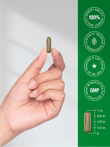 Vista 7 de Horbäach Chanca Piedra Suplemento 500 mg 150 Cápsulas Fórmula de extracto de hierbas Sin OMG y sin gluten