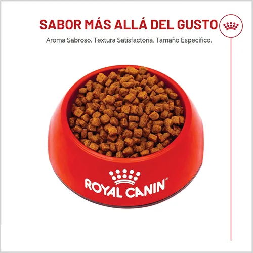 Vista 8 de ROYAL CANIN Yorkshire Terrier - Alimento seco para cachorros, bolsa de 2.5