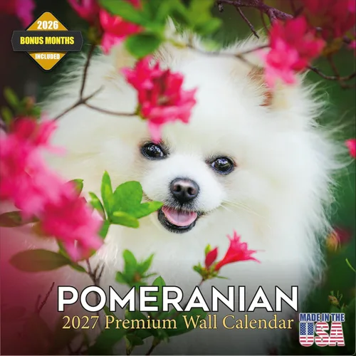 Vista 96 de Calendario de Lebrel Afgano 2025 2026, calendario mensual de pared de raza canina, 12" x 18" abierto, papel grueso sin traspaso, ideal para regalo