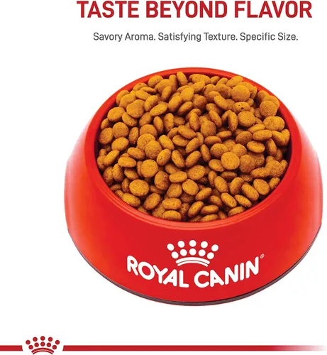 Vista 8 de ROYAL CANIN SIZE HEALTH NUTRITION X-SMALL comida seca para perros adultos