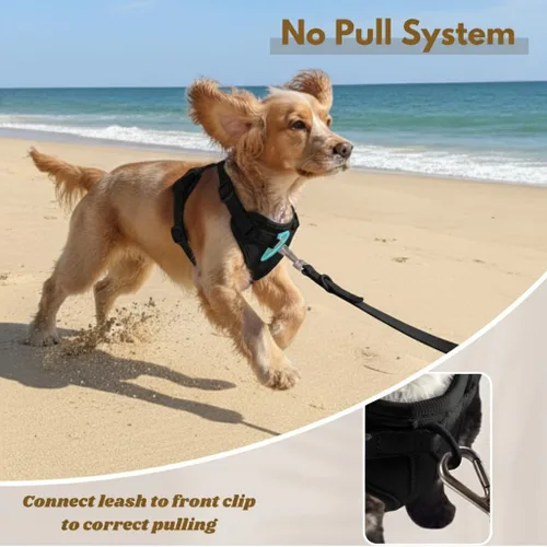 Vista 5 de Dog Harness - No Pull Adjustable Front Clip Vest with Soft Padding, 3Leash Clips, and No-Choke Oxford Design Comfort for Small, Medium, and Large