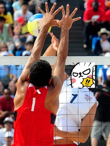 Vista 4 de Red de voleibol profesional para exteriores con cable de acero para aeronaves, red de voleibol resistente para patio trasero, redes de voleibol