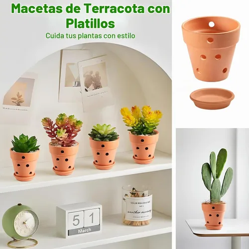 Vista 2 de Juego de 6 macetas de orquídea de terracota de 4 pulgadas