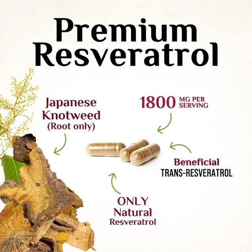 Vista 3 de Suplemento de resveratrol – 1800 mg por porción mezcla de resveratrol extra fuerte – Mezcla antioxidante para un envejecimiento saludable, salud