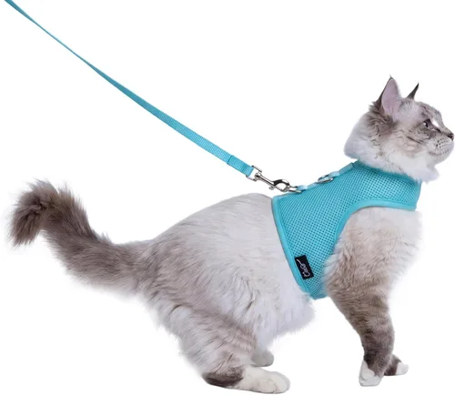 Vista 11 de Arnés y correa para gatitos para caminar, a prueba de escape, tela de malla transpirable, negro sólido, extra pequeño, chaquetas ajustables