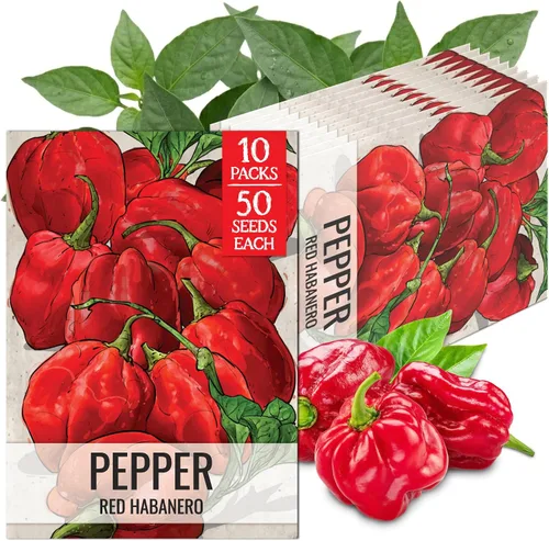 Vista 104 de Seed Needs - Semillas de pimiento arcoíris para plantar verduras, 1 paquete